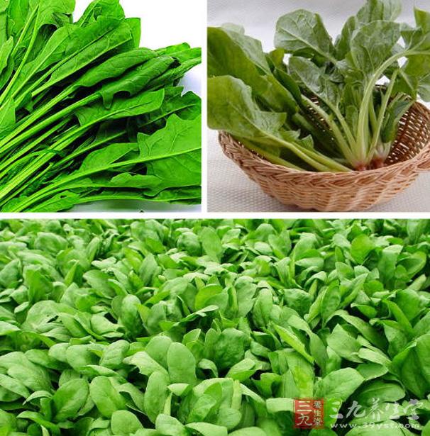 菠菜能补铁吗(菠菜的含铁量)-硒宝网
