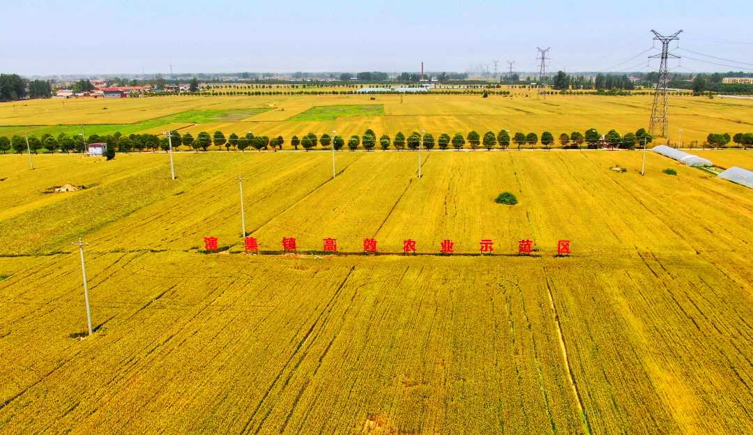广平富硒面粉(广平富硒面粉有限公司)-硒宝网