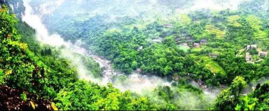 富硒面粉基地(富硒面粉产地)-硒宝网