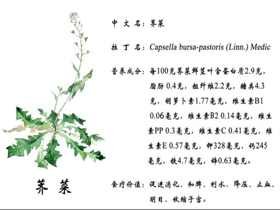 富硒面粉基地(富硒面粉产地)-硒宝网