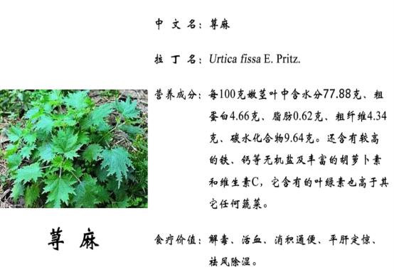 富硒面粉基地(富硒面粉产地)-硒宝网