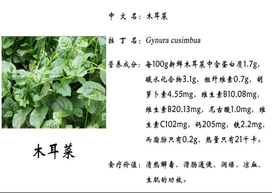 富硒面粉基地(富硒面粉产地)-硒宝网