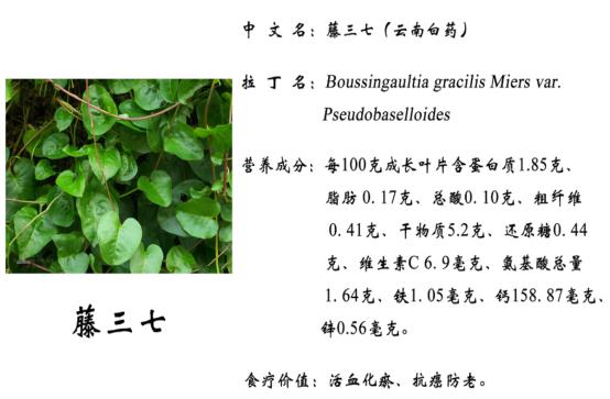 富硒面粉基地(富硒面粉产地)-硒宝网