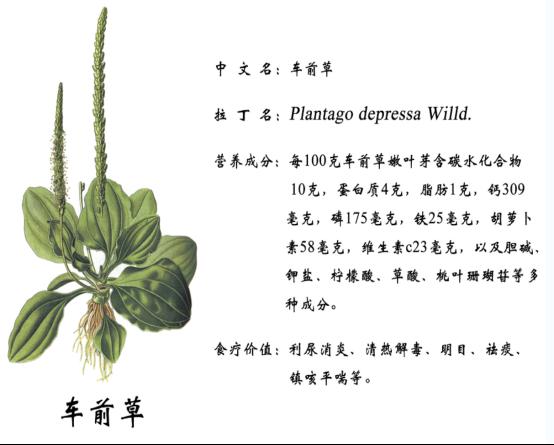 富硒面粉基地(富硒面粉产地)-硒宝网