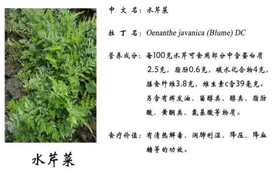 富硒面粉基地(富硒面粉产地)-硒宝网