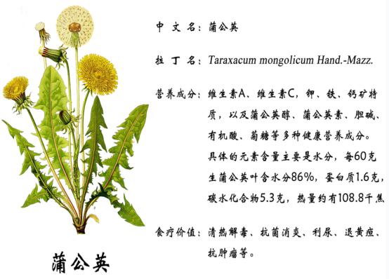 富硒面粉基地(富硒面粉产地)-硒宝网