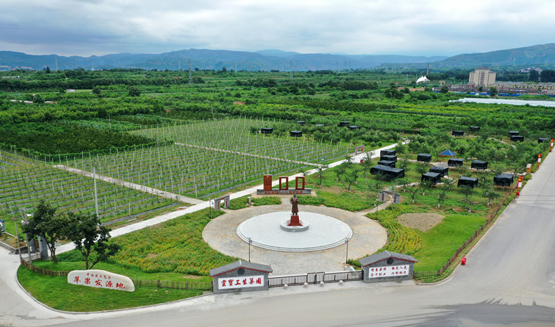 有机富硒面粉(面粉机富硒有哪些品牌)-硒宝网