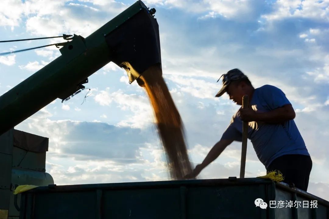 河套面粉富硒(富硒面粉是骗局吗)-硒宝网