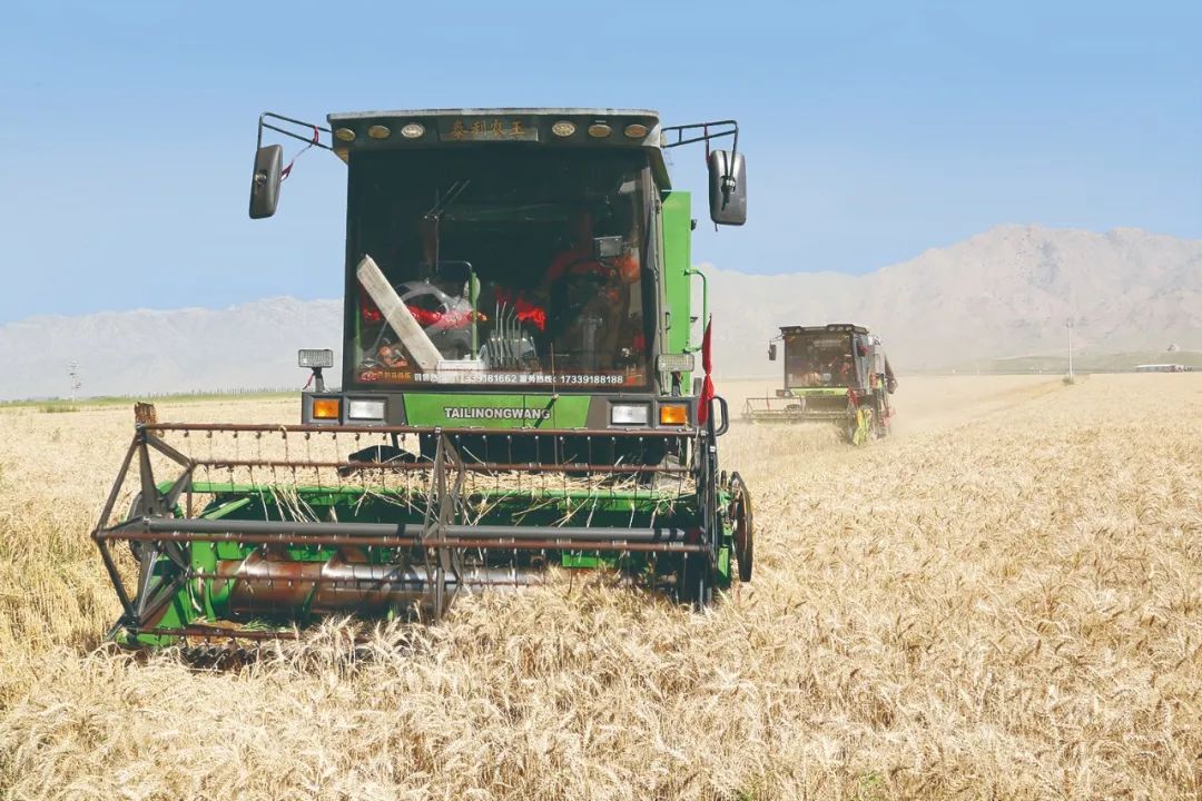 河套面粉富硒(富硒面粉是骗局吗)-硒宝网