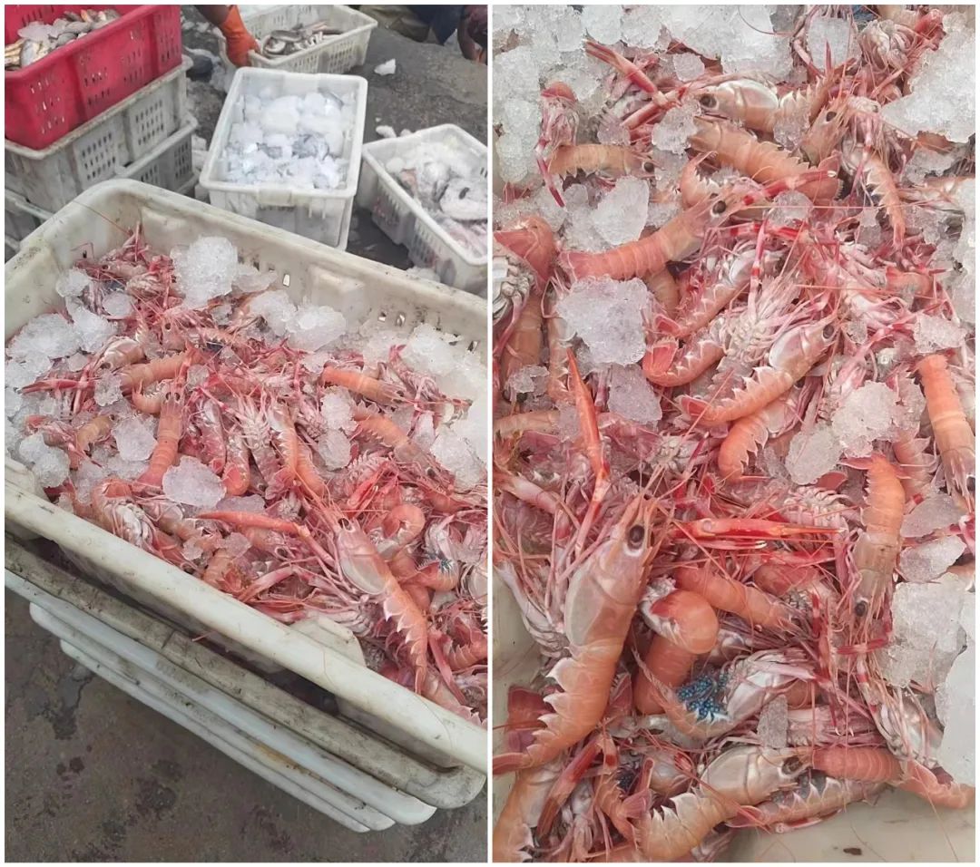 核桃富硒面粉(富硒核桃多少钱一斤)-硒宝网