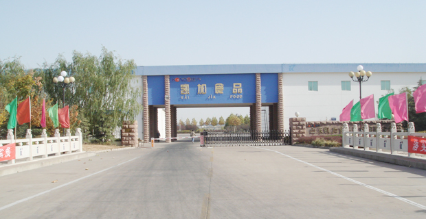 曹县富硒面粉（富硒面粉和普通面粉有什么区别）-硒宝网