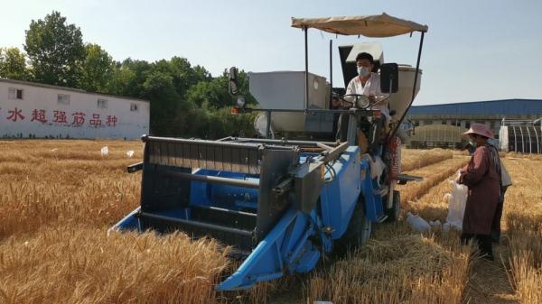 陕北富硒面粉(富硒面粉价格)-硒宝网