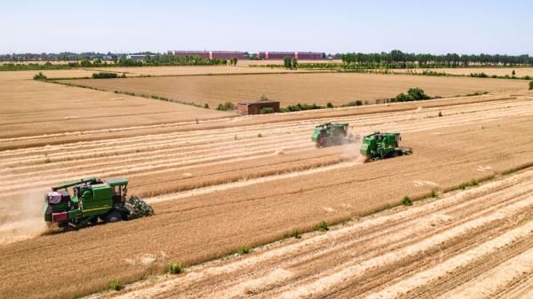 陕北富硒面粉(富硒面粉价格)-硒宝网
