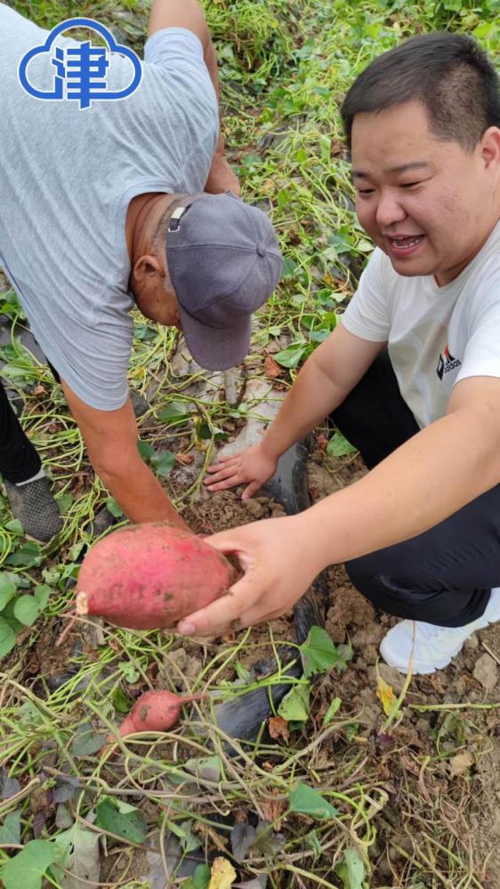 富硒面粉基地(富硒面粉厂)-硒宝网