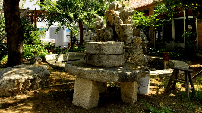 供销富硒面粉（富硒面粉和普通面粉有什么区别）-硒宝网