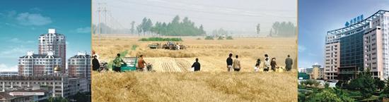 富硒面粉推荐（富硒面粉缺点）-硒宝网