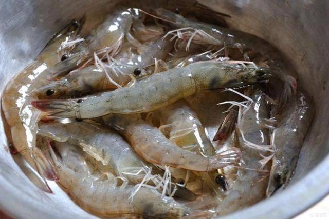 河虾补钙吗(补钙河虾粉)-硒宝网