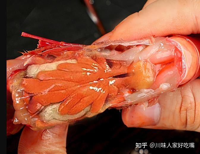 河虾补钙吗(补钙河虾粉)-硒宝网