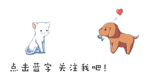 乌龟吃什么补钙（乌龟补钙吃什么药）-硒宝网