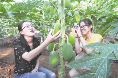 淄川富硒面粉（富硒面粉什么意思）-硒宝网
