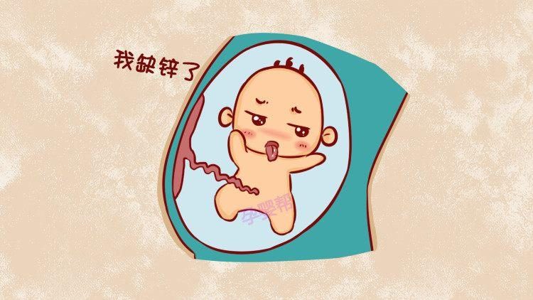 补锌可以提高免疫力吗(锌能提高免疫力)-硒宝网