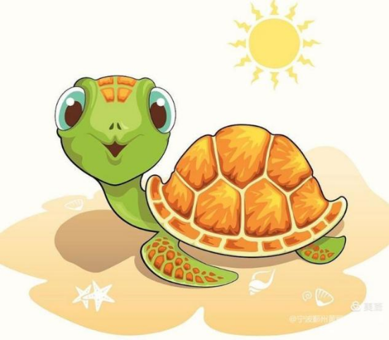 乌龟吃什么补钙(乌龟补钙吃什么)-硒宝网