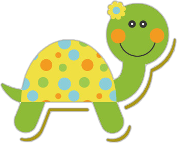 乌龟吃什么补钙(乌龟补钙吃什么)-硒宝网