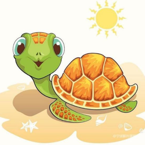 乌龟吃什么补钙(乌龟补钙吃什么)-硒宝网