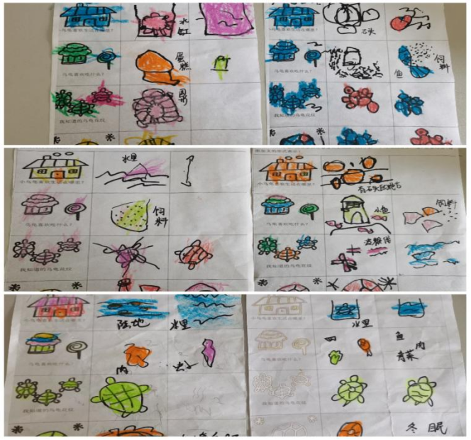 乌龟吃什么补钙(乌龟补钙吃什么)-硒宝网