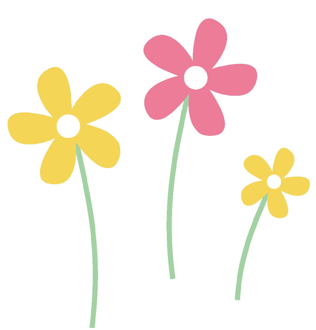 乌龟吃什么补钙(乌龟补钙吃什么)-硒宝网