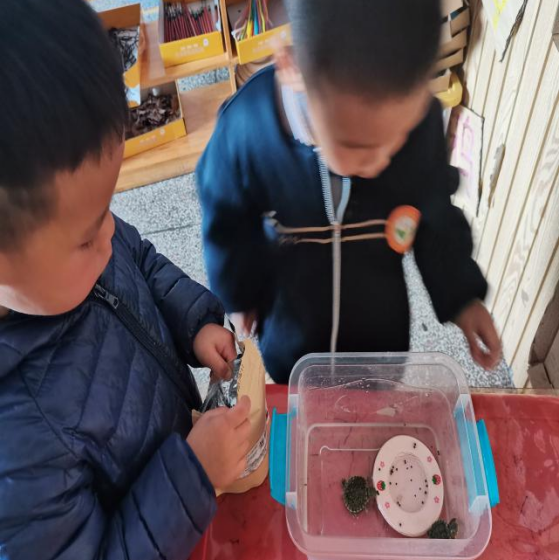 乌龟吃什么补钙(乌龟补钙吃什么)-硒宝网