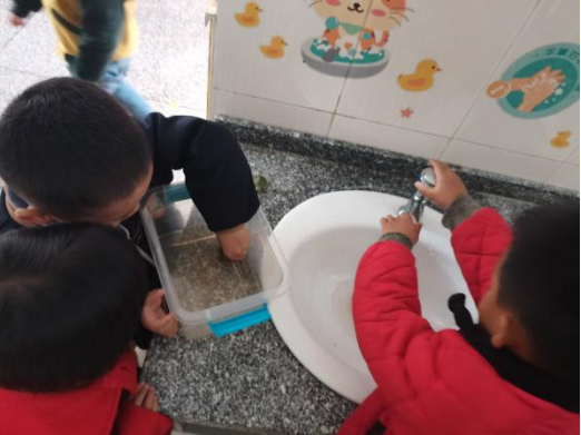 乌龟吃什么补钙(乌龟补钙吃什么)-硒宝网