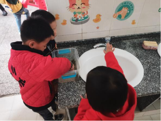 乌龟吃什么补钙(乌龟补钙吃什么)-硒宝网