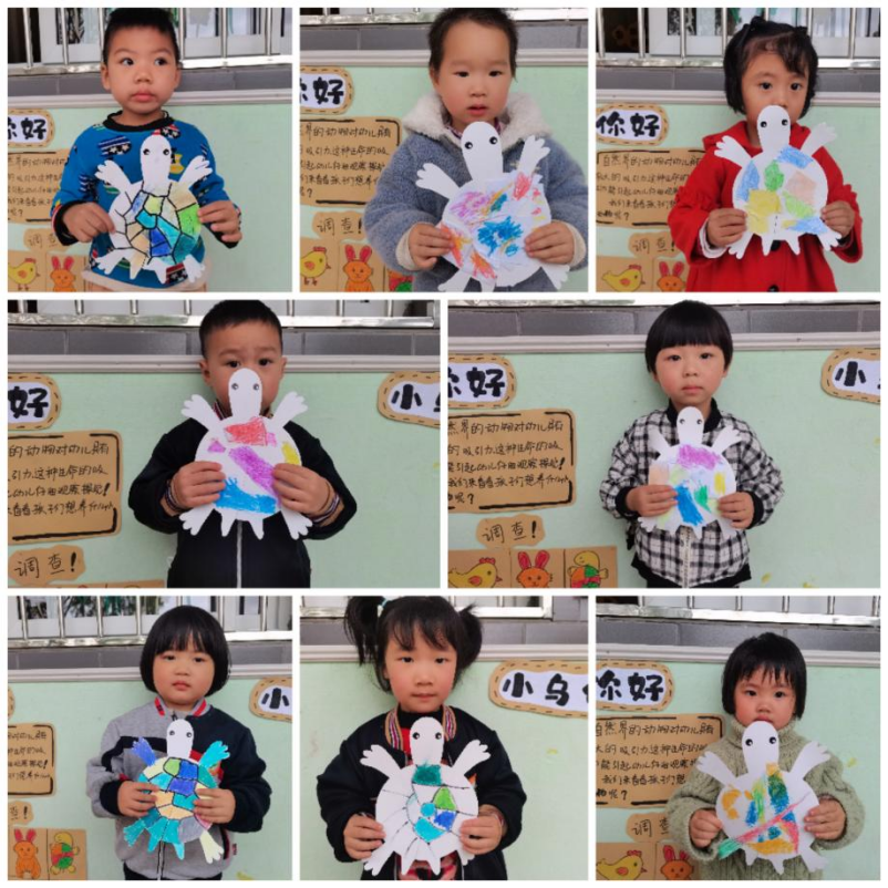 乌龟吃什么补钙(乌龟补钙吃什么)-硒宝网