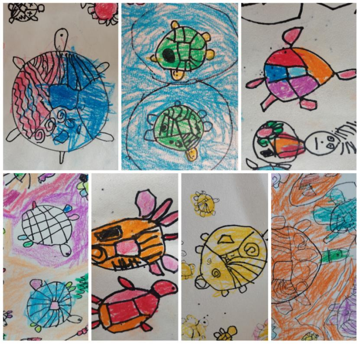 乌龟吃什么补钙(乌龟补钙吃什么)-硒宝网