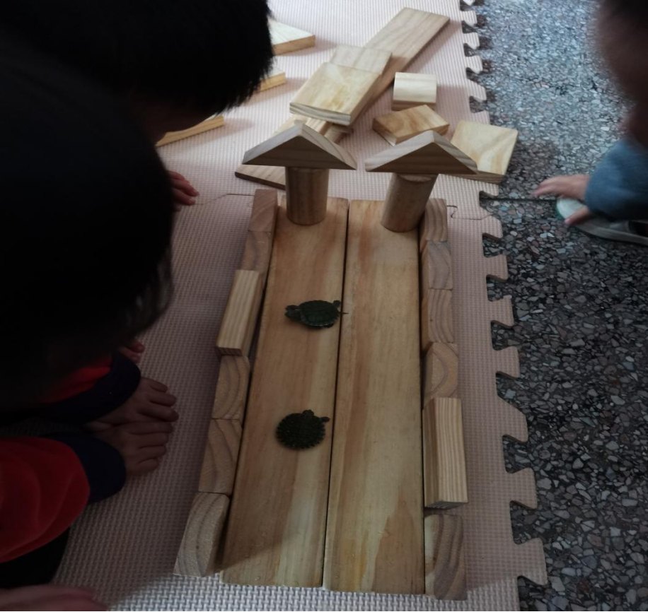 乌龟吃什么补钙(乌龟补钙吃什么)-硒宝网