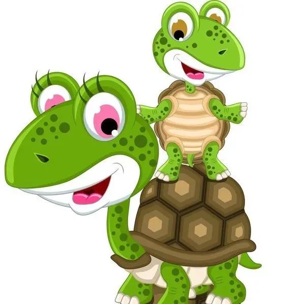 乌龟吃什么补钙(乌龟补钙吃什么)-硒宝网