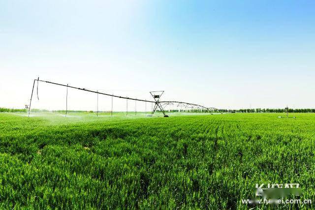 如皋富硒面粉（江苏如皋富硒）-硒宝网