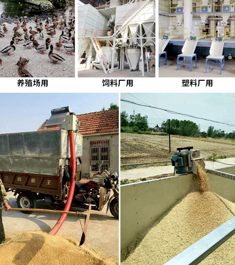 富硒面粉挂面(面粉挂面富硒含量)-硒宝网