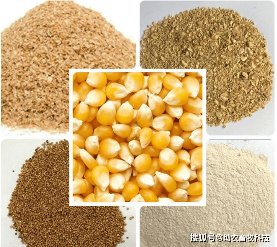 富硒面粉挂面(面粉挂面富硒含量)-硒宝网