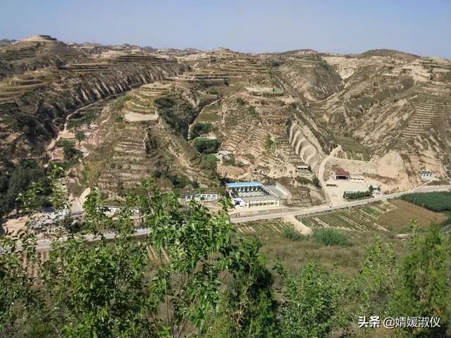 榆林富硒面粉(富硒面粉是骗局吗)-硒宝网