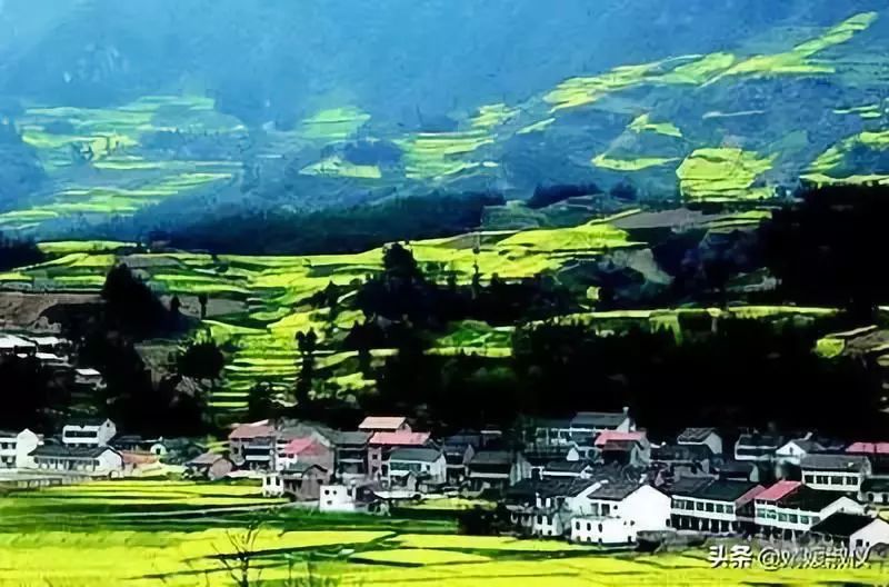 榆林富硒面粉(富硒面粉是骗局吗)-硒宝网