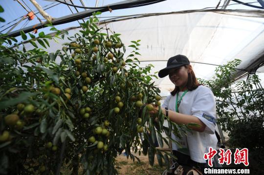 富硒面粉黑色（面粉黑色富硒能吃吗）-硒宝网
