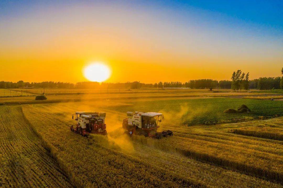 高山富硒面粉（富硒面粉是骗局吗）-硒宝网