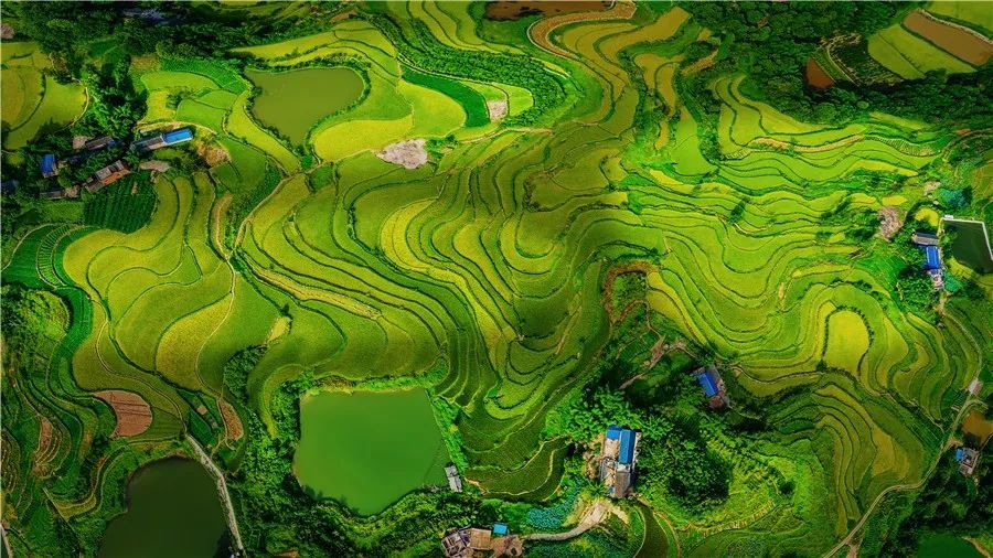 富硒面粉专卖（富硒面粉厂）-硒宝网