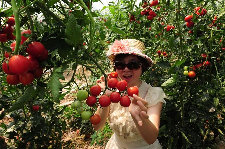 富硒面粉专卖（富硒面粉厂）-硒宝网