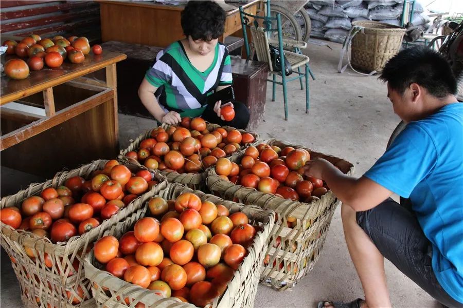 富硒面粉专卖（富硒面粉厂）-硒宝网