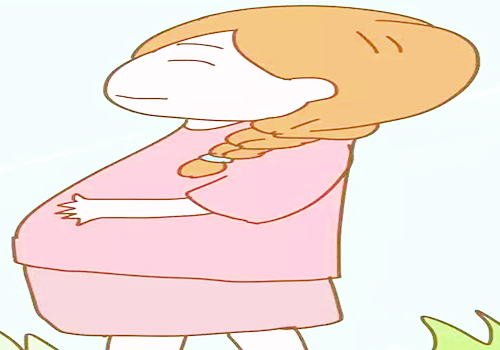 什么是补铁的食物(食材补铁)-硒宝网