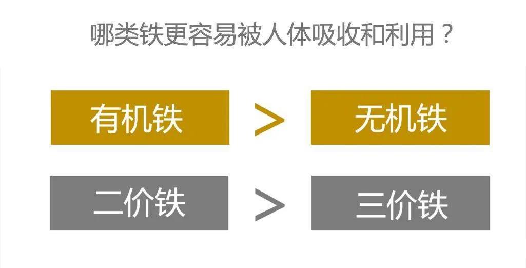 补血就是补铁吗(补血补铁是一个意思吗)-硒宝网