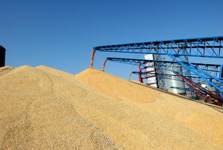 富硒面粉收购（面粉收购富硒粉厂家）-硒宝网